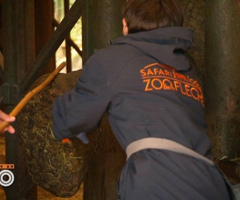 Replay Une saison au zoo - S13 E31