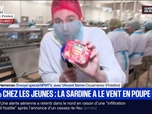 Replay BFM Première - La sardine a le vent en poupe avec une augmentation de 27% chez les jeunes de 25-35 ans