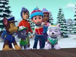 Replay Paw Patrol, la Pat'Patrouille - L'ours somnambule