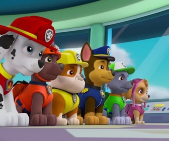 Replay Paw Patrol, la Pat'Patrouille - Danny X le Hardi !
