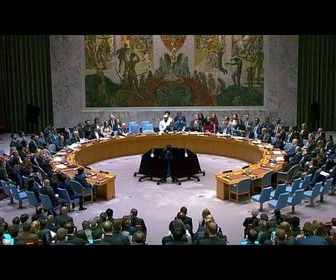 Replay Le Conseil de sécurité des Nations unies approuve le plan de paix de Trump pour Gaza