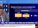 Replay La chronique éco - Miel et vin: mauvaises récoltes pour les agriculteurs français à cause des intempéries