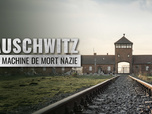 Replay Auschwitz, la machine de mort nazie