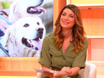 Replay Les Animaux de T18 - - 17/10/26