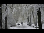 Replay Rare tempête de neige printanière sur Moscou