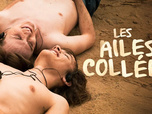 Replay Les ailes collées