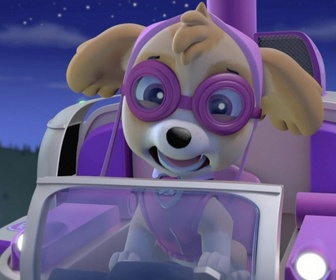 Replay Paw Patrol, la Pat'Patrouille - Un atterrissage forcé