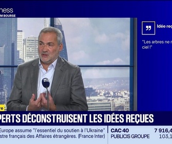 Replay BFM Bourse - Mythomètre : Les arbres ne montent pas au ciel !. FAUX répond David Kruk - 15/10