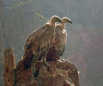 Replay Bulgarie - La beauté sauvage des Balkans