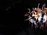 Replay Au spectacle chez soi - Le Lac des cygnes par Angelin Preljocaj au Théâtre national de Chaillot