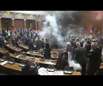 Replay Grenades fumigènes et vuvuzelas : scène de chaos au Parlement serbe