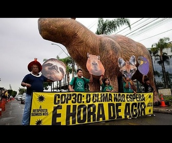 Replay Des centaines de manifestants indigènes réclament la reconnaissance des terres à Brasilia