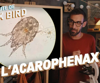 Replay La minute de Max Bird - L'Acarophenax