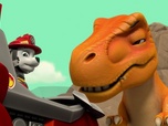 Replay S00 E67 - Compilation Paw Patrol, la Pat'Patrouille 67