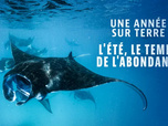 Replay Une année sur terre - 19/10/2026