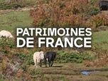 Replay Patrimoines de France - Bergers, gardiens des territoires