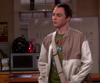Replay The Big Bang Theory - S2E16 - Le coussin irremplaçable