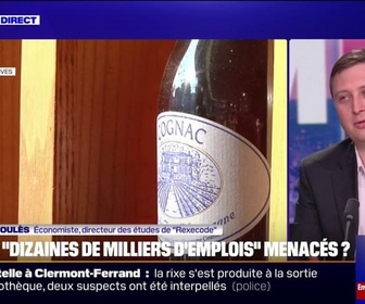 Replay 20H BFM - Droits de douane de 30% pour l'UE: Aujourd'hui, les chefs d'entreprises sont plus préoccupés par le climat politique français, observe Olivier Redoulès, économiste