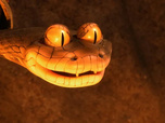 Replay Les as de la jungle à la rescousse - Opération dragon