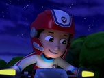Replay Paw Patrol, la Pat'Patrouille - Une nuit au musée