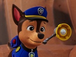 Replay Paw Patrol, la Pat'Patrouille - Les vacances de M. Hellinger