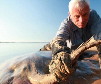 Replay River monsters - Les dents de la Floride
