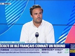 Replay Le monde qui bouge - L'Interview : Le blé reste pénalisé par le poids de l'offre - 13/08