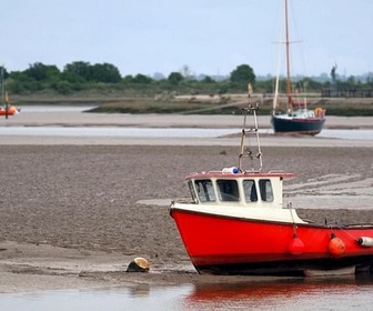 Replay La Bosnie de Joe Sacco / Angleterre / États-Unis - Invitation au voyage