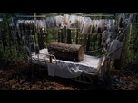 Replay Un hôpital de Los Angeles se transforme en exposition d'art immersive