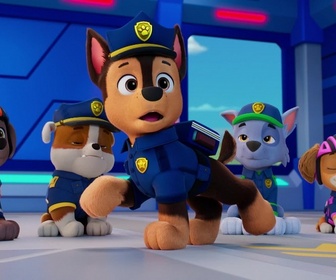 Replay Paw Patrol, la Pat'Patrouille - Mission Détectives : La grande course à vélo