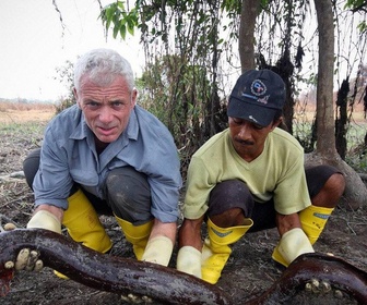 Replay River monsters - S9E2 - Le retour du poisson-chat tueur