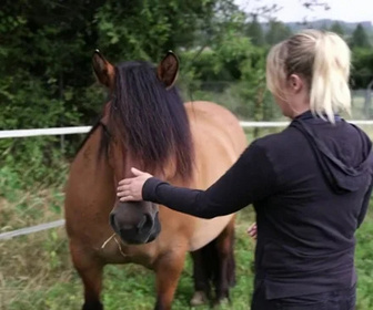 Replay Le Mag de la santé - 07/01/2026