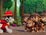 Replay S00 E78 - Compilation Paw Patrol, la Pat'Patrouille 78