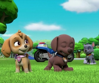 Replay Paw Patrol, la Pat'Patrouille - La Moto Patrouille : La spirale rocheuse