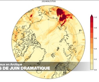 Replay Élément Terre - Feux de forêt dans le nord de la Russie : l'Arctique fragile face au réchauffement climatique