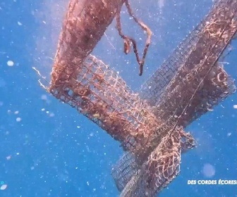 Replay Positive Outre-mer - Polynésie : la fibre de coco pour remplacer le plastique dans la perliculture