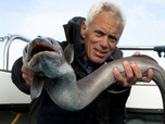 Replay River monsters