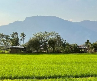 Replay Le Sud - Laos, l'éloge de la lenteur