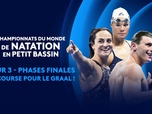 Replay Championnats du Monde de Natation petit bassin - 3e jour - Phases finales