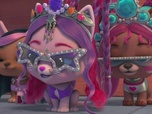 Replay VIP Pets - La séance photo la plus cool