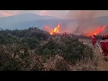 Replay Canicule et incendies en Albanie et en Bulgarie : l'UE appelée en renfort