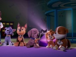 Replay Paw Patrol, la Pat'Patrouille - Le phare de l'île des Phoques