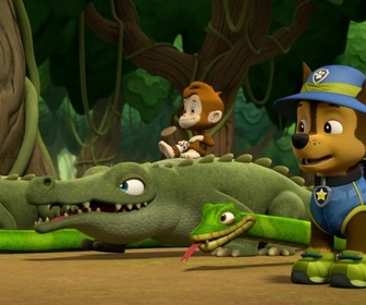 Replay Paw Patrol, la Pat'Patrouille - Attention, boules puantes !