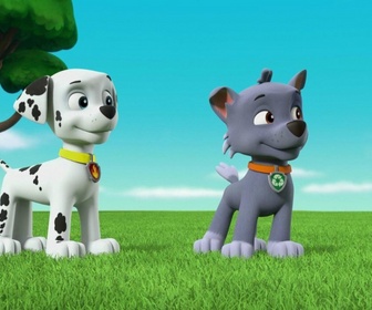 Replay Paw Patrol, la Pat'Patrouille - Sauvetage extrême : L'atterrissage du Capitaine Gordy