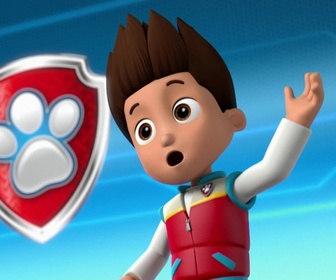 Replay Paw Patrol, la Pat'Patrouille - Dans la peau de Galinetta