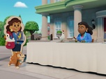 Replay Paw Patrol, la Pat'Patrouille - Galinetta à la rescousse
