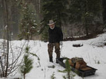 Replay Seuls face à l'Alaska - S11E8 - Un froid destructeur