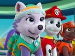 Replay Paw Patrol, la Pat'Patrouille - La moufette