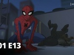 Replay The Spectacular Spider-Man - Spectacular spider-man - S01 E13 - La mission