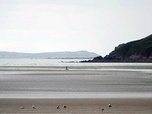 Replay Le Rhin de Joseph Beuys / Bretagne / Nouveau-Mexique - Invitation au voyage